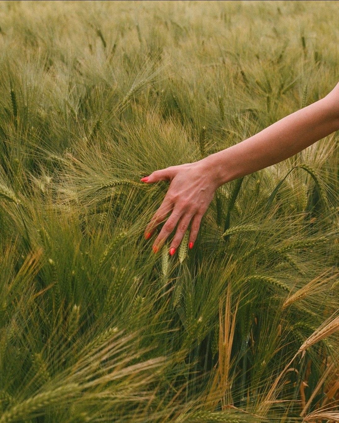 Mio-Inositol para SOP: Descubra os Benefícios - Ovacare